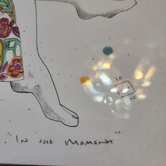 Steven Vigil Artwork signed in protective wrapping 10/500 - Picture 3 of 5